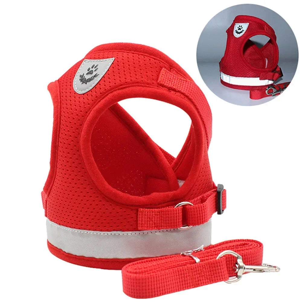 Escape-Proof Mesh Vest for Cats & Small Dogs – Soft Pet Harness with Lead - Pawsitive Cuddles