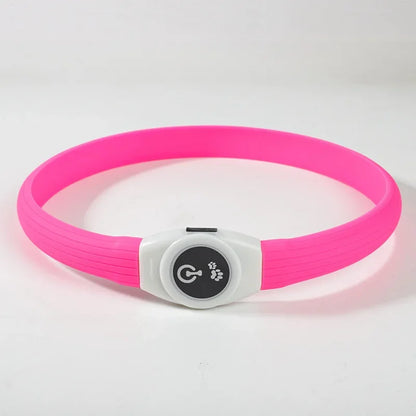 LED Luminous Dog Colla - Pawsitive Cuddles