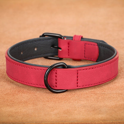 Soft Padded Real Leather Collar for Big Dogs - Pawsitive Cuddles