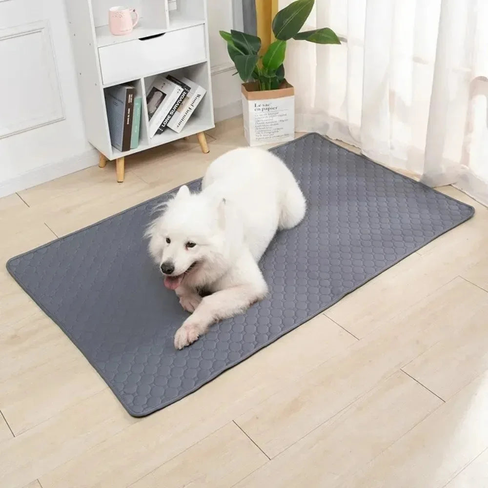 Absorbent Puppy Training Pad & Diaper Mat - Pawsitive Cuddles