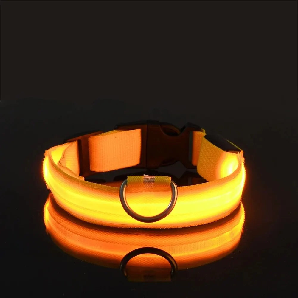 Nylon LED Night Safety Flashing Glow In The Dark Dog Leash Dogs Luminous Fluorescent Pet Dog Collar - Click Mart