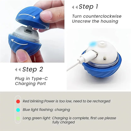 USB Rechargeable Interactive Bouncing Ball - Pawsitive Cuddles