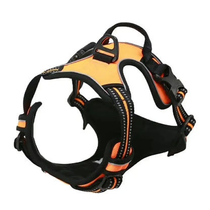 Dog Collar, Harness & Leash Set - Pawsitive Cuddles
