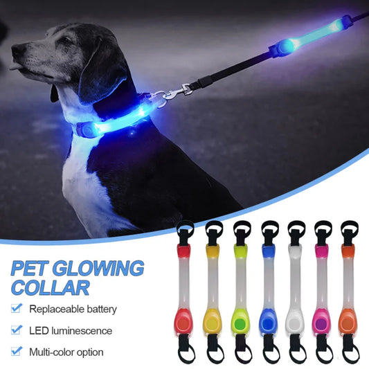 Dog Anti Lost Safety Glowing Colla - Pawsitive Cuddles