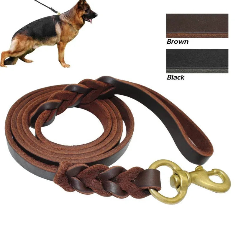 Braided Long Lead for Medium & Large Dogs - Pawsitive Cuddles