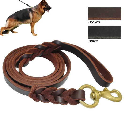 Braided Long Lead for Medium & Large Dogs - Pawsitive Cuddles