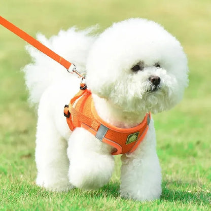 Reflective No-Pull Pet Harness & Leash Set - Pawsitive Cuddles