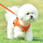 Reflective No-Pull Pet Harness & Leash Set - Pawsitive Cuddles