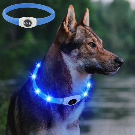 LED Luminous Dog Colla - Pawsitive Cuddles