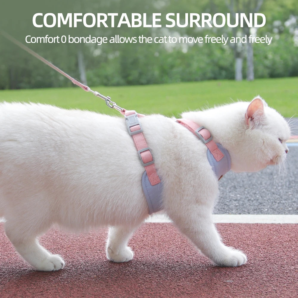 Fashion Outdoor Walking Gear for Small Dogs, Cats, - Pawsitive Cuddles
