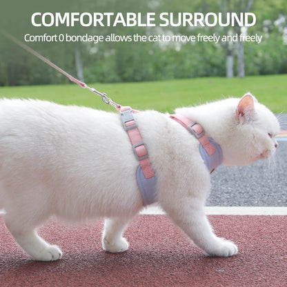 Fashion Outdoor Walking Gear for Small Dogs, Cats, - Pawsitive Cuddles