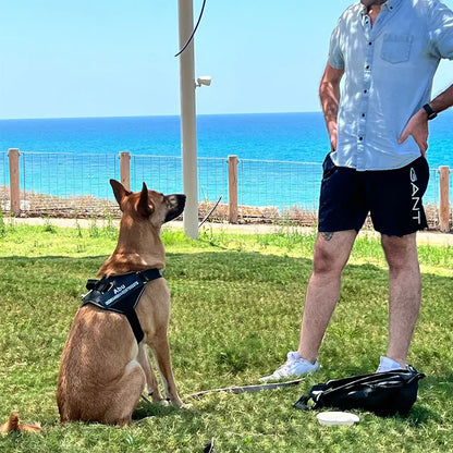 Custom Reflective No-Pull Dog Harness - Pawsitive Cuddles