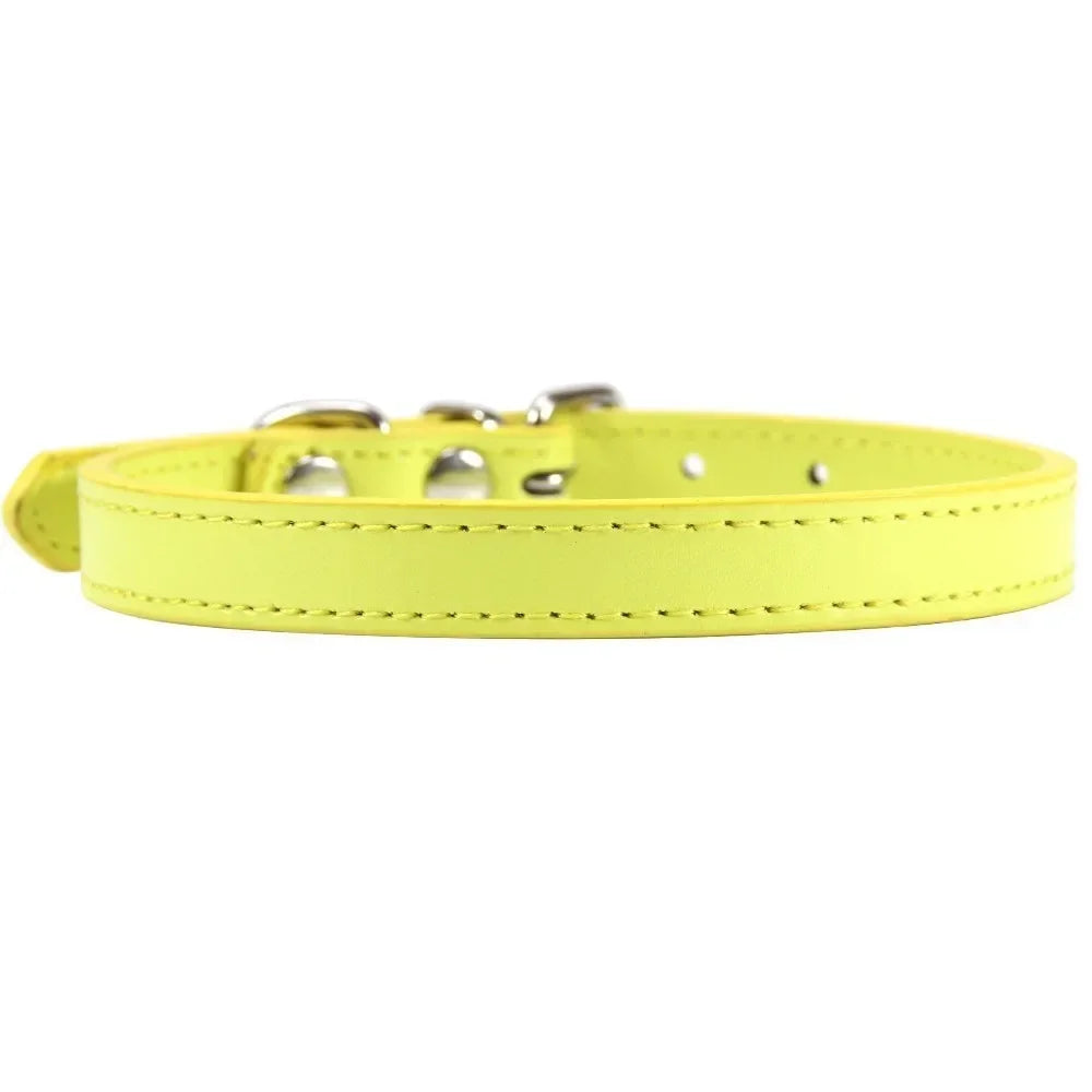 Colorful Leather Puppy & Cat Collar - Pawsitive Cuddles