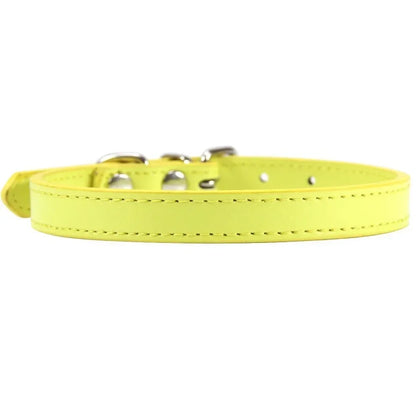 Colorful Leather Puppy & Cat Collar - Pawsitive Cuddles