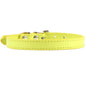 Colorful Leather Puppy & Cat Collar - Pawsitive Cuddles