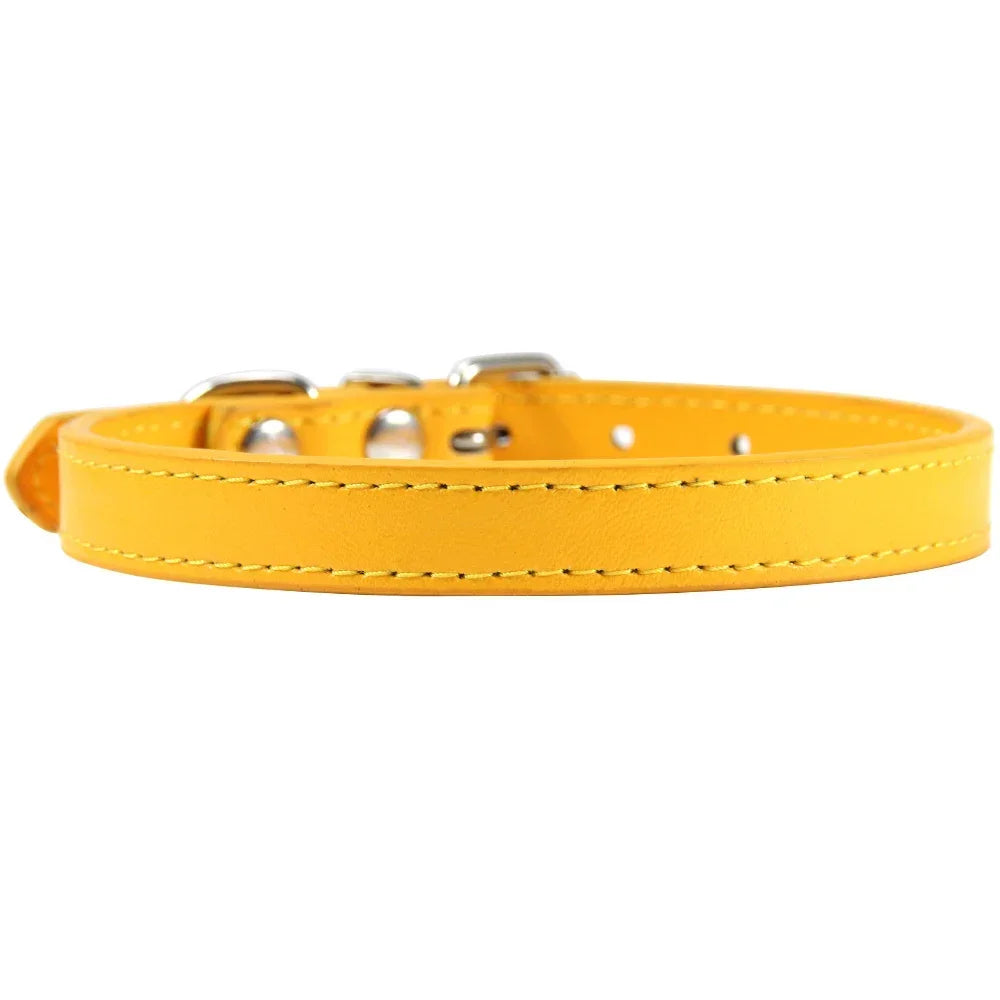 Colorful Leather Puppy & Cat Collar - Pawsitive Cuddles