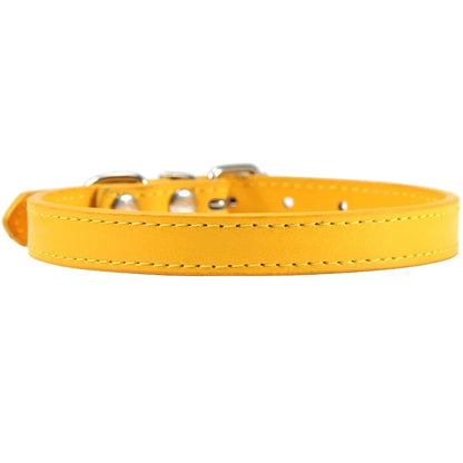 Colorful Leather Puppy & Cat Collar - Pawsitive Cuddles