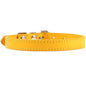 Colorful Leather Puppy & Cat Collar - Pawsitive Cuddles