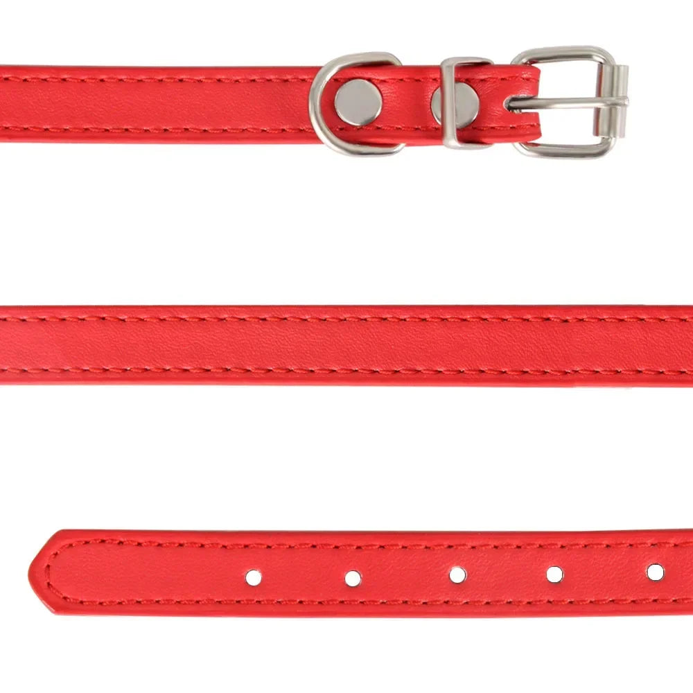 Colorful Leather Puppy & Cat Collar - Pawsitive Cuddles