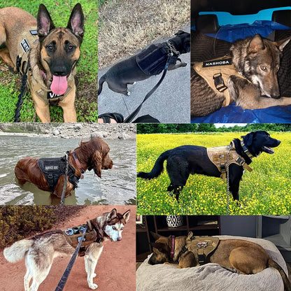 Military Large Dog Harness Training Vest - Pawsitive Cuddles