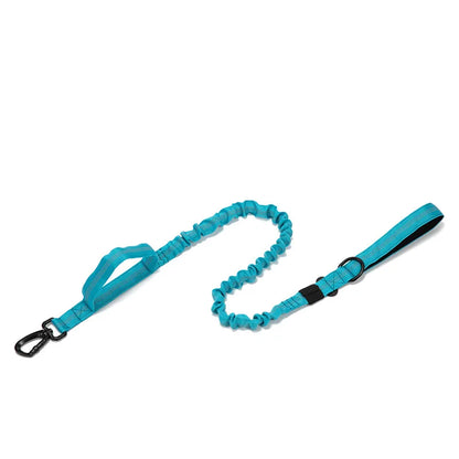 Reflective Nylon Dog Collar & Leash Set - Pawsitive Cuddles