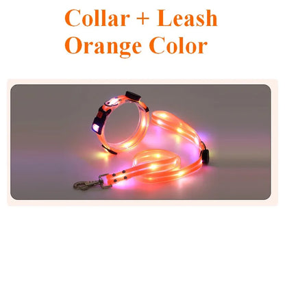 Pet LED Light UP Leash USB Rechargeable - Pawsitive Cuddles