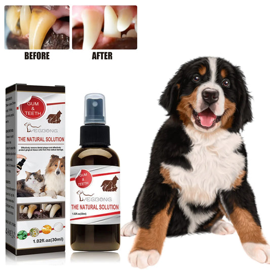 Dental Cleaning & Tartar Removal for Dogs - Pawsitive Cuddles