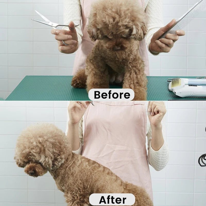 Professional Dog Clipper High Power Dog Hair Cutter Low Noise Pet Trimmer Grooming Clippers with Guard Combs for Animals - Pawsitive Cuddles