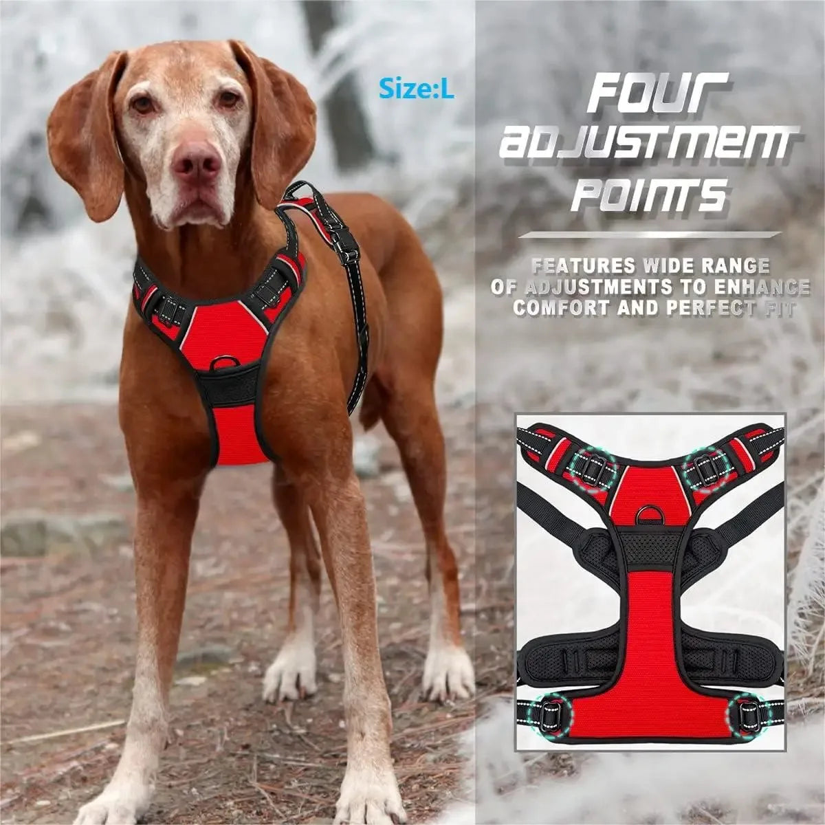 Dog Collar, Harness & Leash Set - Pawsitive Cuddles