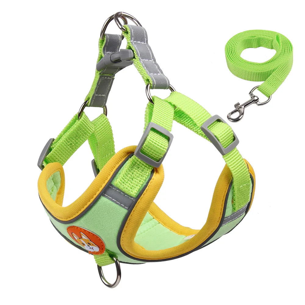 No-Pull Pet Dog Harness & Leash Set - Pawsitive Cuddles