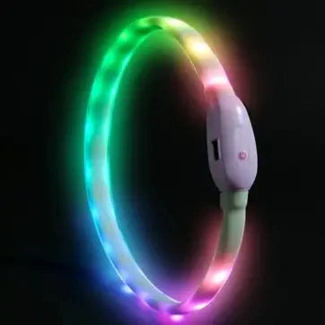 USB Rechargeable Glowing Collar for Large and Small Dogs - Pawsitive Cuddles