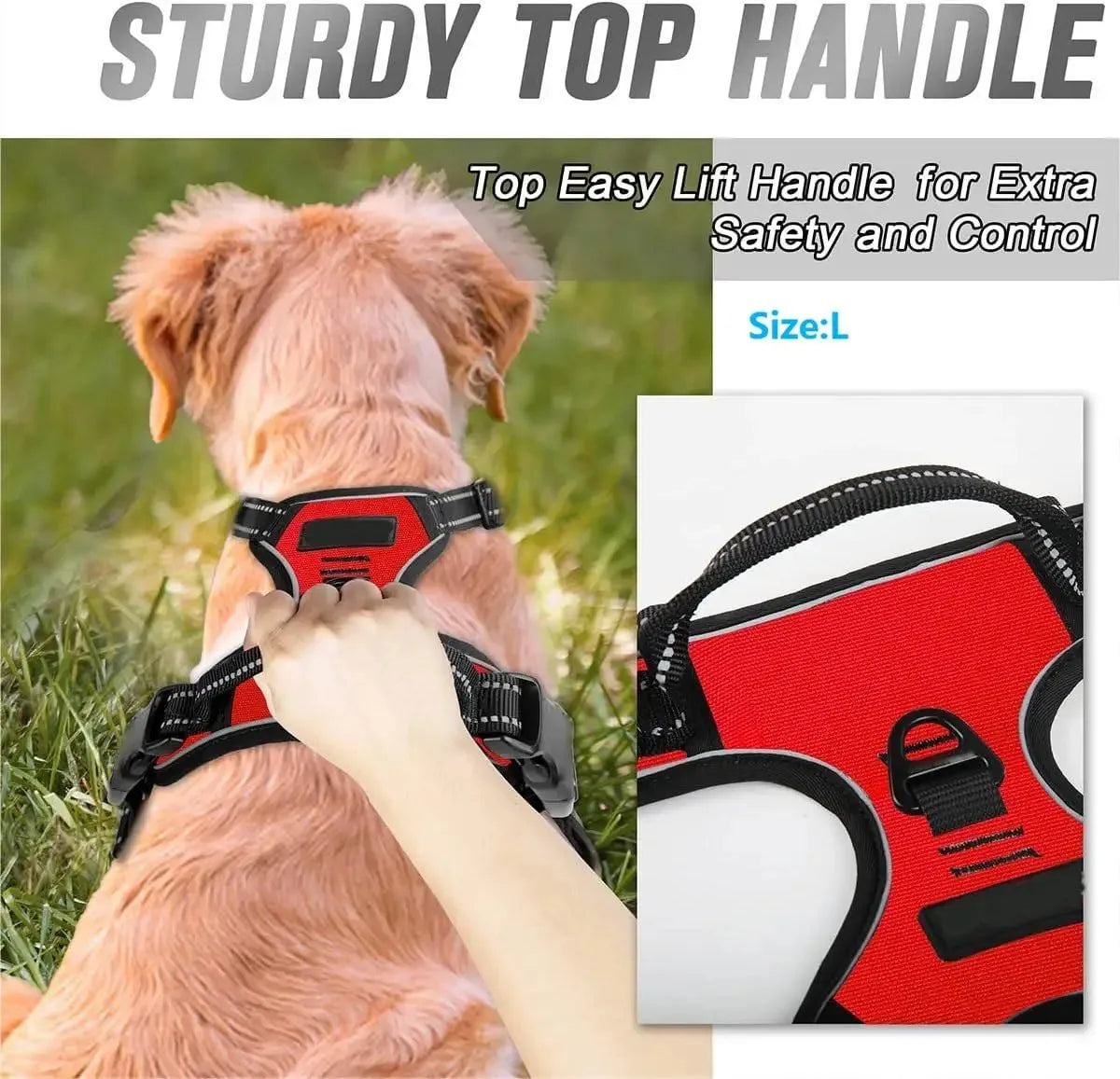Dog Collar, Harness & Leash Set - Pawsitive Cuddles