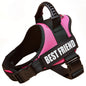 New Dog Harness High Quality Nylon Adjustable - Pawsitive Cuddles
