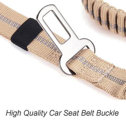Heavy Duty Reflective Bungee Dog Leash - Pawsitive Cuddles