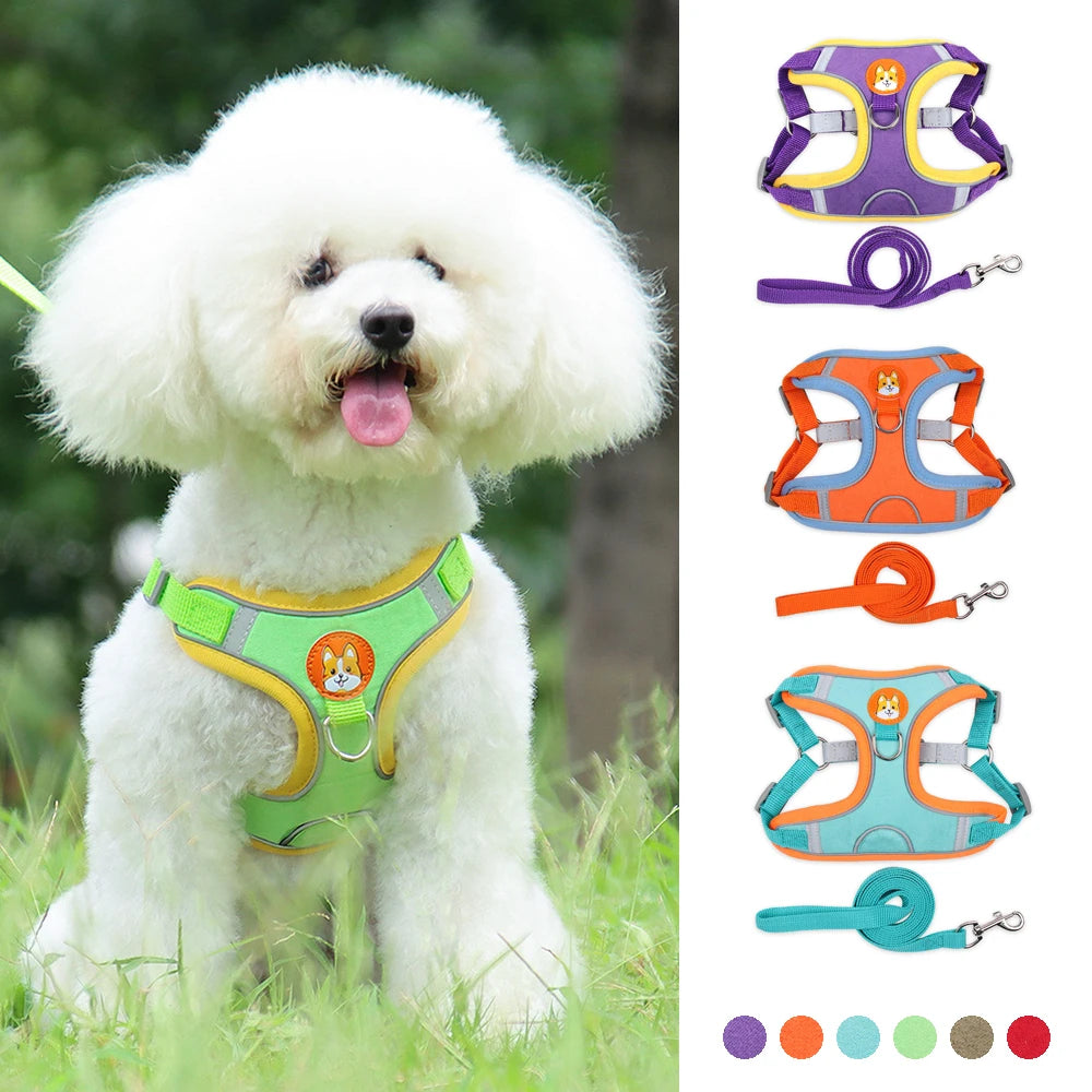 No-Pull Pet Dog Harness & Leash Set - Pawsitive Cuddles