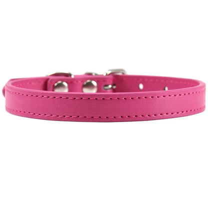 Colorful Leather Puppy & Cat Collar - Pawsitive Cuddles