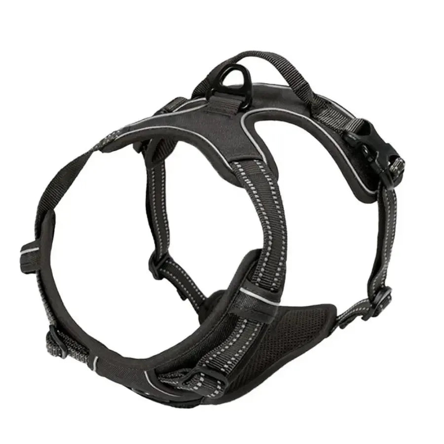 Dog Collar, Harness & Leash Set - Pawsitive Cuddles
