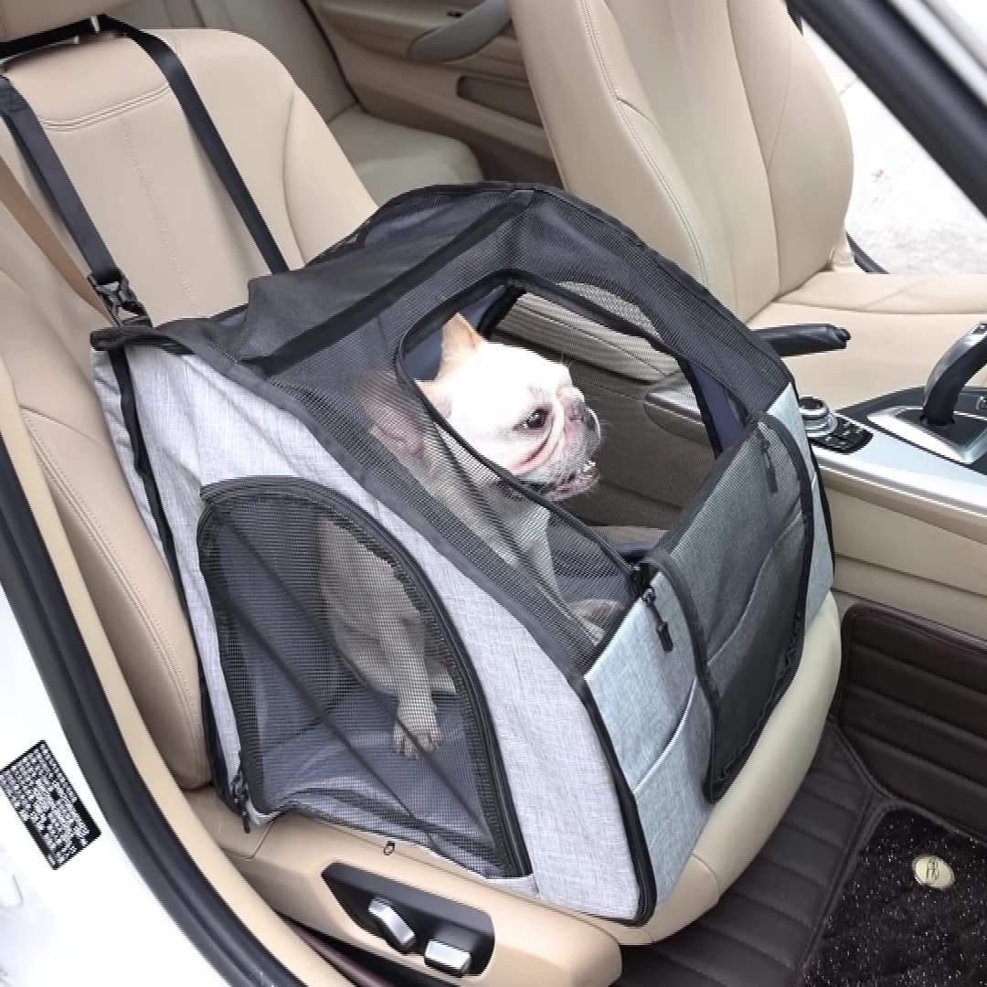 Portable Dog Travel Crate - Pawsitive Cuddles