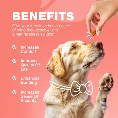 Flea & Tick Prevention with Immune Support Soft Treats - Pawsitive Cuddles