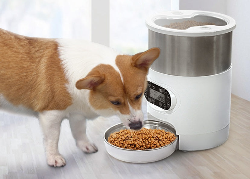 WiFi Food Dispenser with Voice Recording