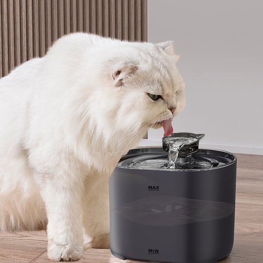 Circulating Pet Water Dispenser with Filtration System - Pawsitive Cuddles