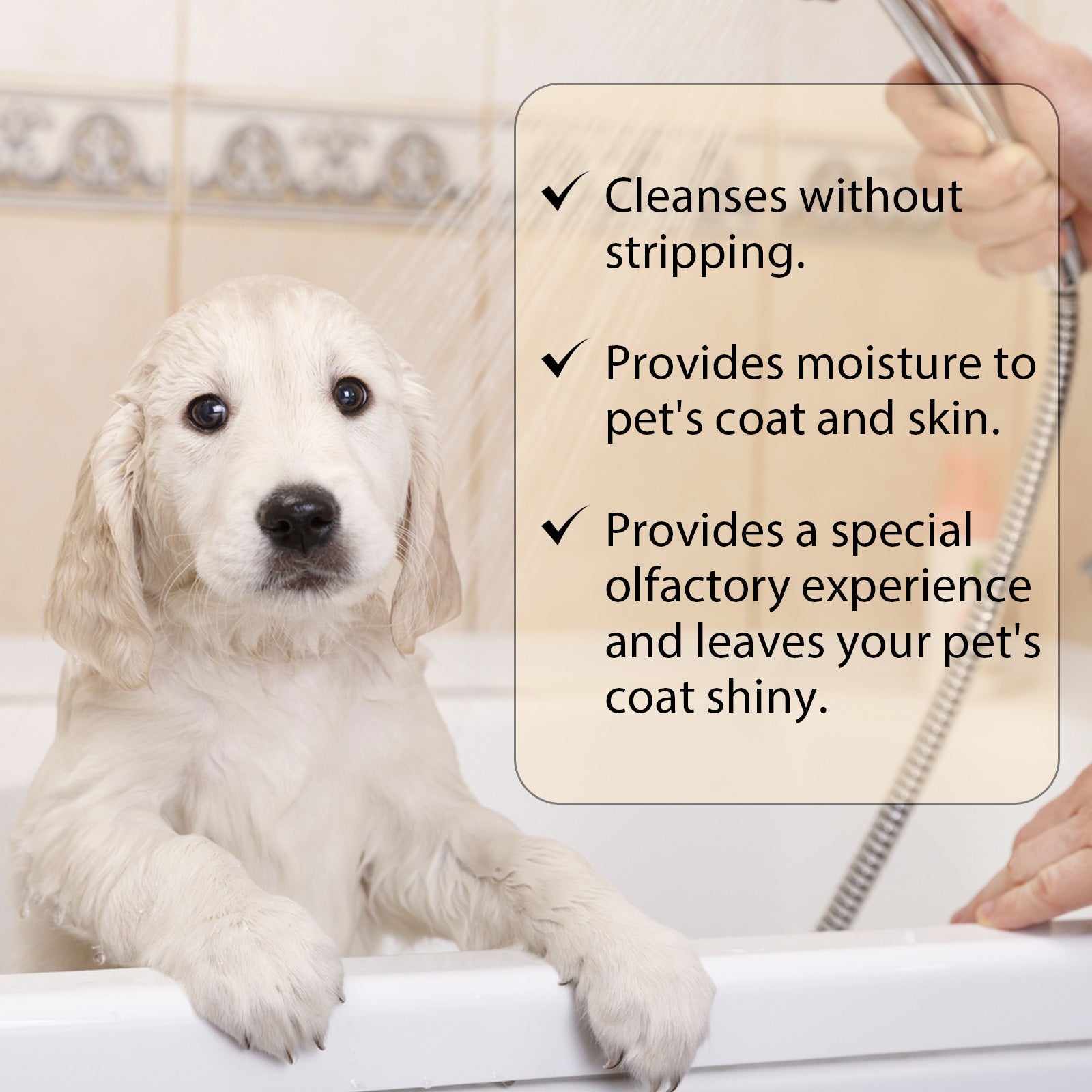 Softening & Detangling Pet Shampoo - Pawsitive Cuddles