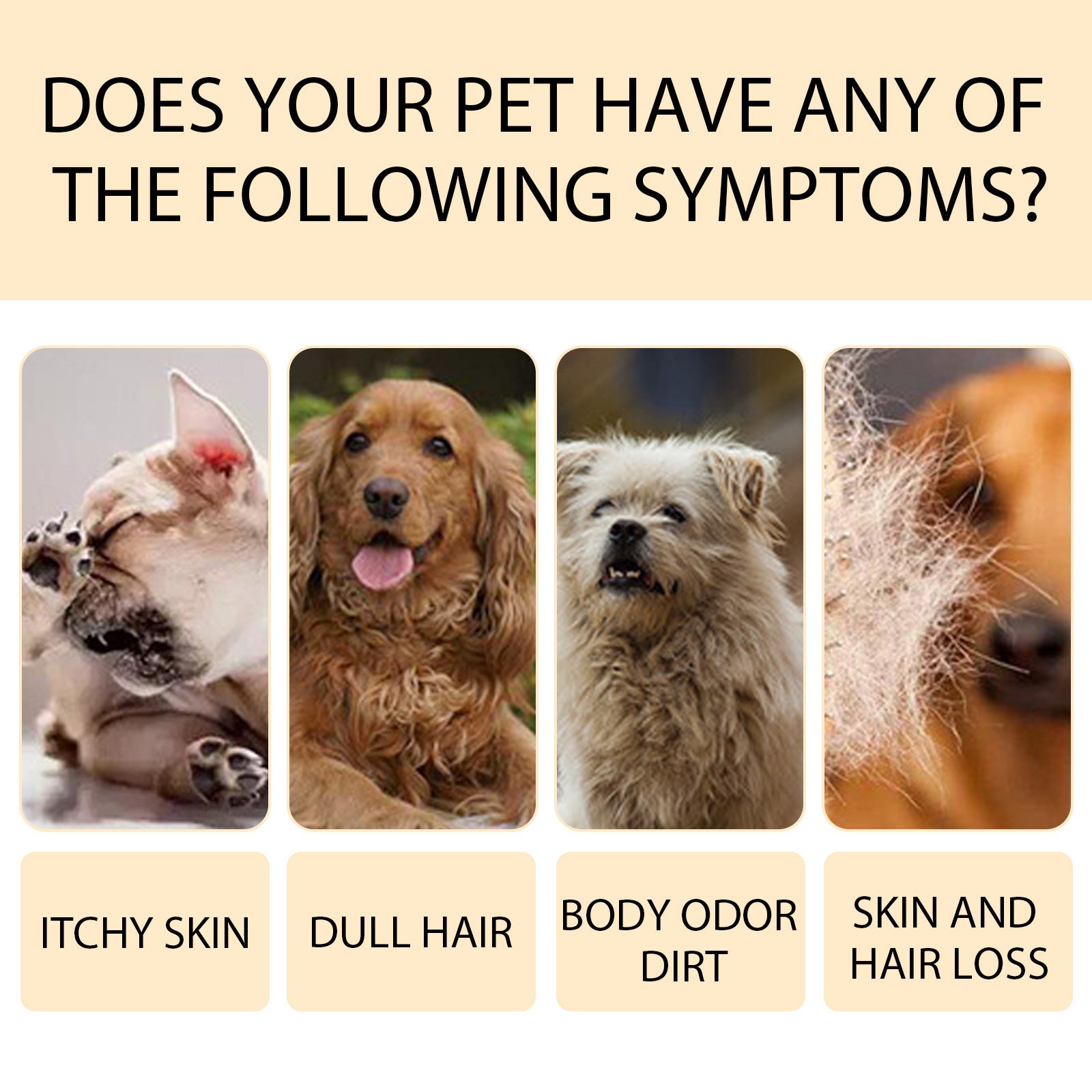 Softening & Detangling Pet Shampoo - Pawsitive Cuddles