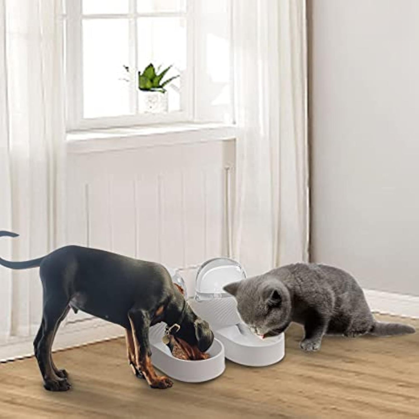 2-Piece Cat Feeder & Water Dispenser Set