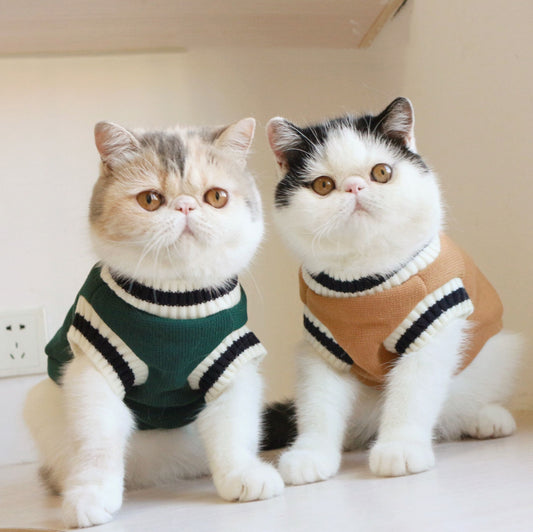 American College Style Cat Sweater - Pawsitive Cuddles
