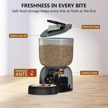 Automatic Feeder & Water Dispenser with Voice - Pawsitive Cuddles