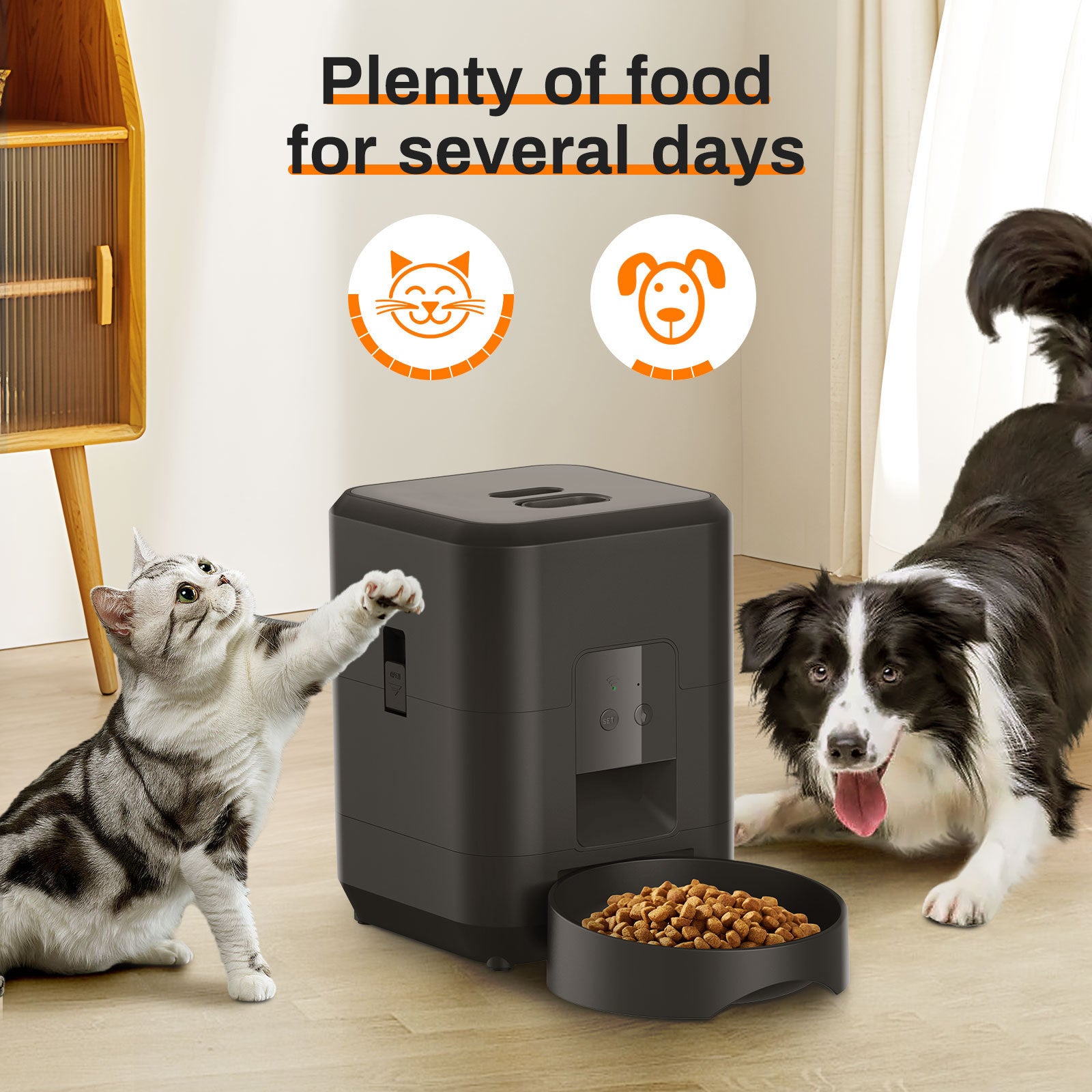 Remote Control, Timed & Measured Feeder - Pawsitive Cuddles