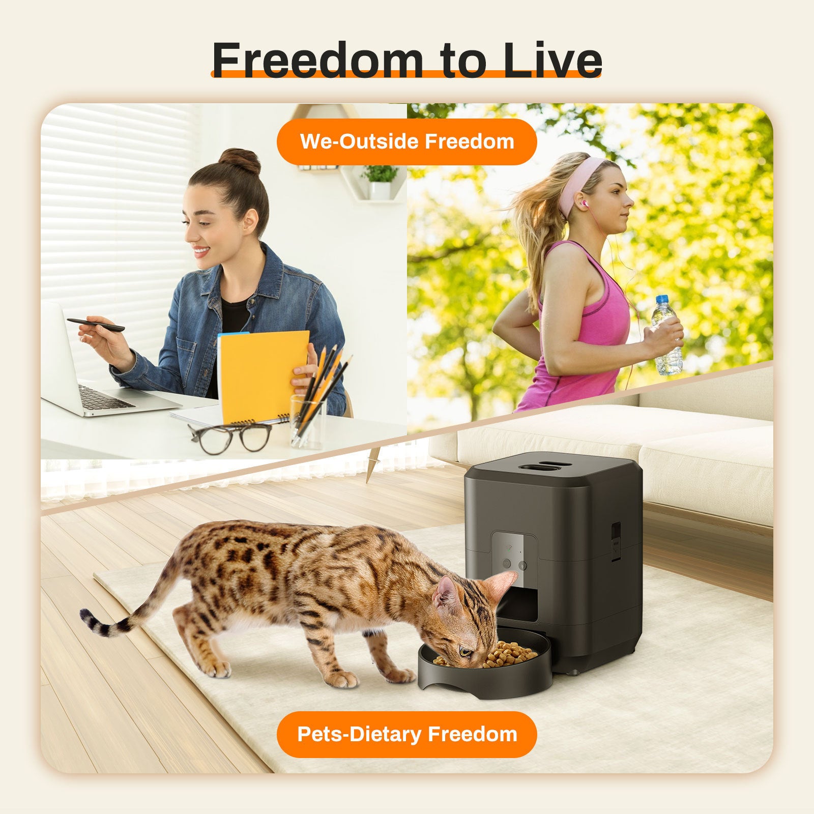 Remote Control, Timed & Measured Feeder - Pawsitive Cuddles