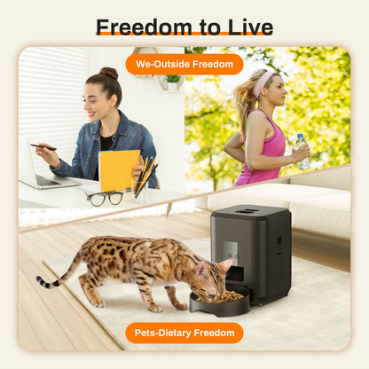 Remote Control, Timed & Measured Feeder - Pawsitive Cuddles