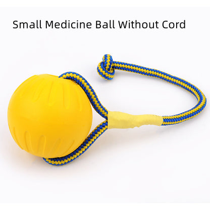 EVA Floating Dog Training Ball with Rope - Pawsitive Cuddles